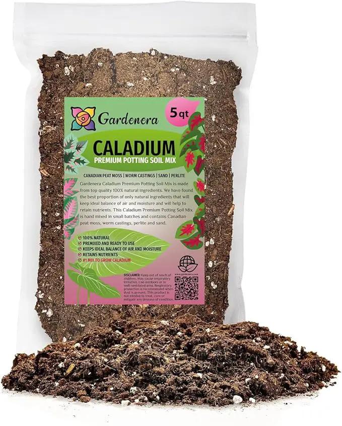 Premium Caladium Plant Soil Mix by Gardenera - Stimulate Growth and Elevate Leaf Color with Nourishing Formula - 5 Quart by GreenHaven Gardens