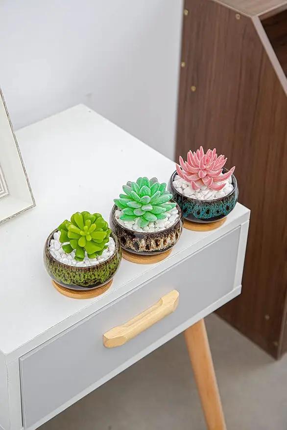 Cute Ceramic Succulent Garden Pots, Planter with Drainage and Attached Saucer, Set of 5 -Plants Not Included (Round) by GreenHaven Gardens