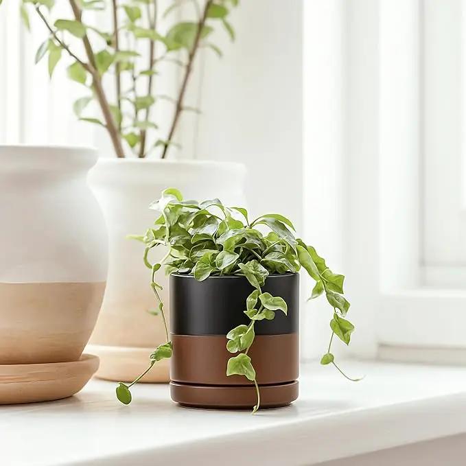 D'vine Dev 3.5 Inch Ceramic Planter Pot with Drainage Hole and Saucer, Indoor Cylinder Round Planter Pot, Black/Speckled Tan, 94-O-A-7 by GreenHaven Gardens