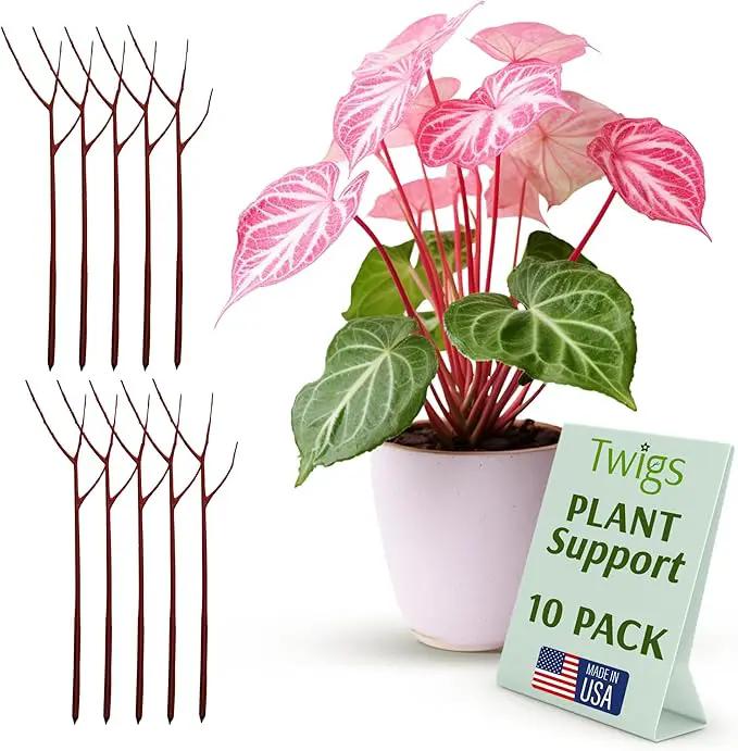Plant Support Stakes, Stem Holder Structures for Indoor & Outdoor Use, Garden Accessories for Climbing & Potted Plants, Trellis Alternative - Begonia Red, 10 Pack, 22" L, Original by GreenHaven Gardens