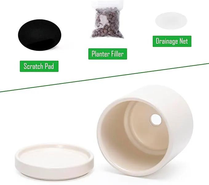 D'vine Dev Set of 2 Plants Pots, 3.5 Inch Ceramic Planter Pot for Plants with Drainage Hole and Saucer, Oatmeal, 94-V-A-8 by GreenHaven Gardens