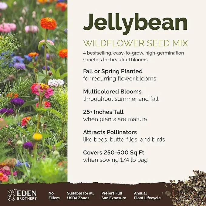 Eden Brothers Jellybean Flower Mixed Seeds for Planting, 1/4 lb, 120,000+ Seeds with Zinnia, Cornflower, Cosmos, Calendula, Attracts Pollinators, Plant in Spring or Fall, Zones 3, 4, 5, 6, 7, 8, 9, 10 by GreenHaven Gardens