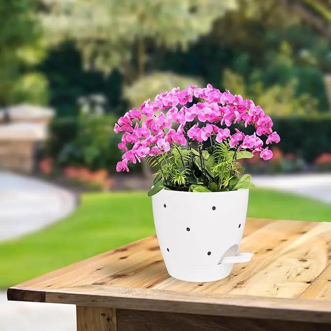 6 Inch Orchid Pots with Holes, 2 Pack Self Watering Planters for Orchids Plastic Orchid Pot Plant Flower Pots for Orchids Indoor Outdoor (White) by GreenHaven Gardens