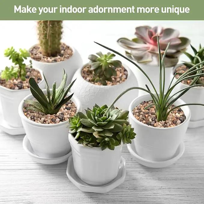 GASPRO Drainage Pebbles for Indoor Plants, 1/5 Inch Small Rocks for Potted Plants, Decorative Pebbles for Succulent, Cactus, Crafts, Bamboo, Pea Gravel for Landscaping, Aquarium, Fish Tank, 5lbs by GreenHaven Gardens