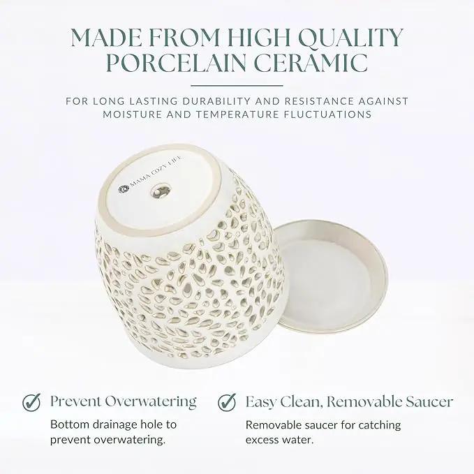 Elegant Orchid Pot with Holes, Large 6.5 inch Premium Porcelain Ceramic Orchid Pot for Repotting, Durable Ceramic Planter with Removable Saucer for Easy Drain, Planter Gifts for Moms by GreenHaven Gardens