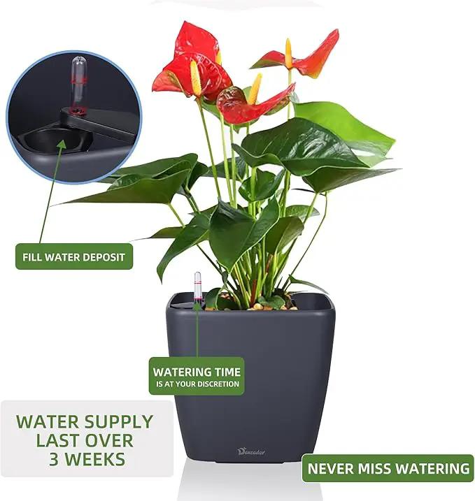 Dexceder 9x8 Self Watering Planter Indoor Outdoor, Inner Mat Design, Thickened Table Flower Plant Pot with Water Level Indicator (Slate Gray Matte) by GreenHaven Gardens