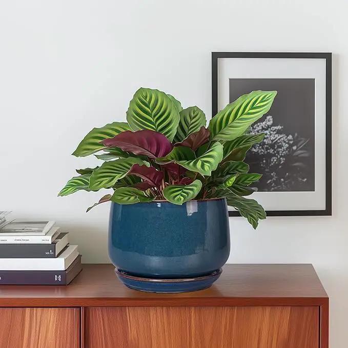 G EPGardening Ceramic Planter 6 Inch - Round Modern Ceramic Pot for Plants with Drainage and Plant Tray Indoor for Flower, Apartment Decor, Housewarming Gifts New Home, Retro Blue by GreenHaven Gardens