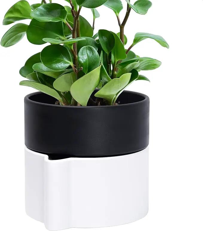 Phoenix Vine 6.5 Inch Self-Watering Planter Pot with Terracotta Insert, Deep Water Reservoir, and Ceramic-Alike BPA-Free Plastic Pot for Plant, Modern Planter for Houseplants, White/Black, 53-B-S-4 by GreenHaven Gardens