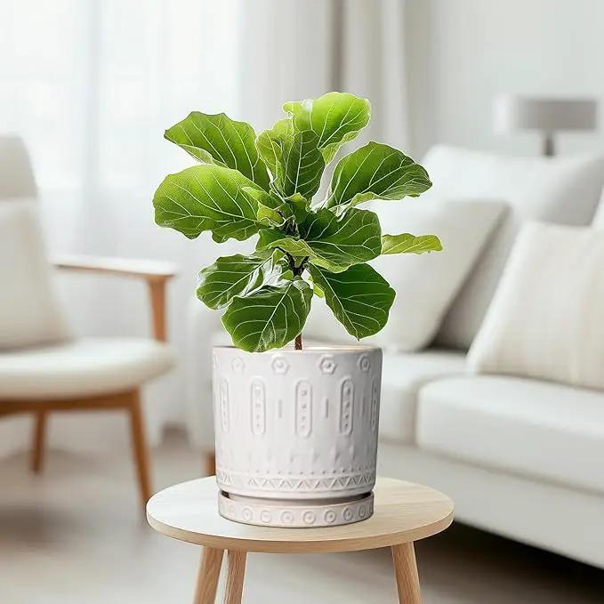 Ceramic Planter for Indoor Plants - 8 Inch Plant Pot Outdoor Flower Pot with Drainage Holes and Saucer Modern Round Planter Succulent Pot for Home Garden Decor White by GreenHaven Gardens