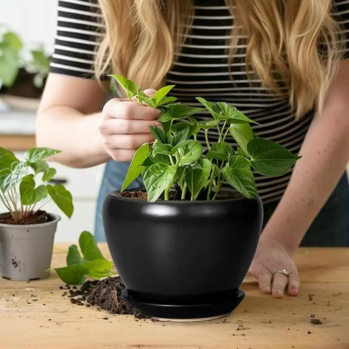 Ceramic Planter Pot - 6 Inch Plant Pot with Drainage Hole and Saucer Round Planter for Indoor Plants Outdoor Succulent Pot Modern Flower Pot for Home Decor Black by GreenHaven Gardens