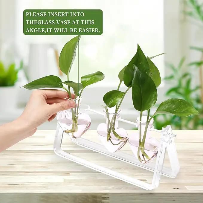 Plant Terrarium Propagation Stations with Acrylic Stand Birthday Gifts for Women Plant Stand Indoor Office Home Decor by GreenHaven Gardens