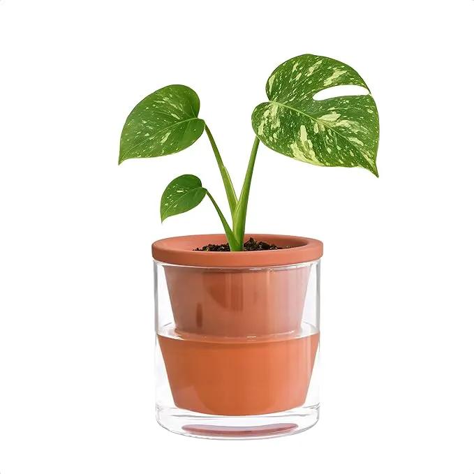 D'vine Dev 4 Inch Design Self Watering Pot for Indoor Plants, Terracotta Planter with Cylinder Glass Cup, 37-X-A-1 by GreenHaven Gardens