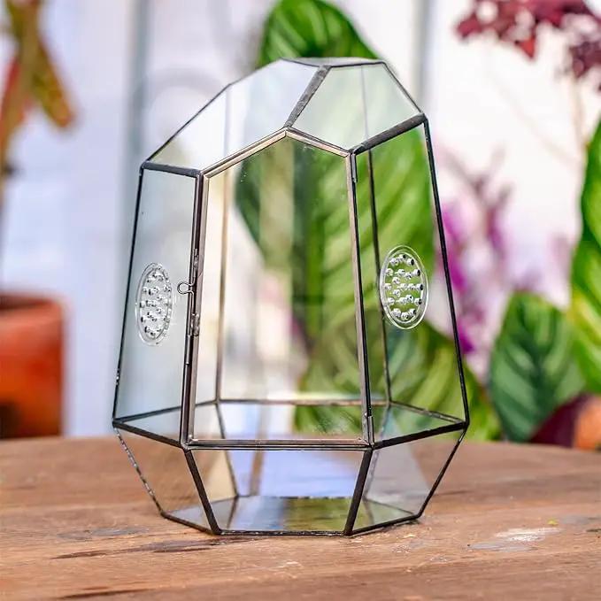 NCYP Closed Geometric Glass Enclosure with Front Opening Door & 2 Vent Holes for Insects, Succulent, Cacti - 7.9"x6.9"x9.8" Black Irregular Terrarium Planter - Home Garden Tabletop Decor (No Plants) by GreenHaven Gardens