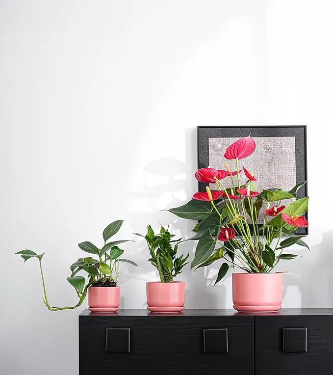 Ton Sin Plant Pots, 4.1+5.1+6.5 inch, Set of 3, Ceramic Planters with Drainage Hole and Saucer, Indoor Flower Pot with Hole Mesh Pad, Gifts for Mom(Matte Orange) by GreenHaven Gardens