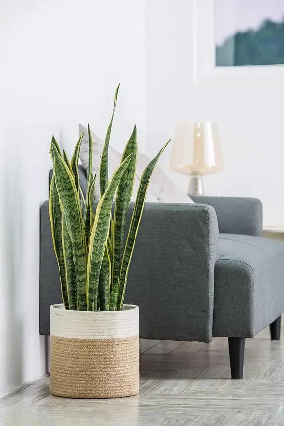Dahey Jute Spliced Cotton Rope Plant Basket Modern Woven Storage Basket for 10" Floor Indoor Planter, Decorative Flower Pots Cover Laundry Bin with Handle Rustic Home Decor, White and Beige by GreenHaven Gardens