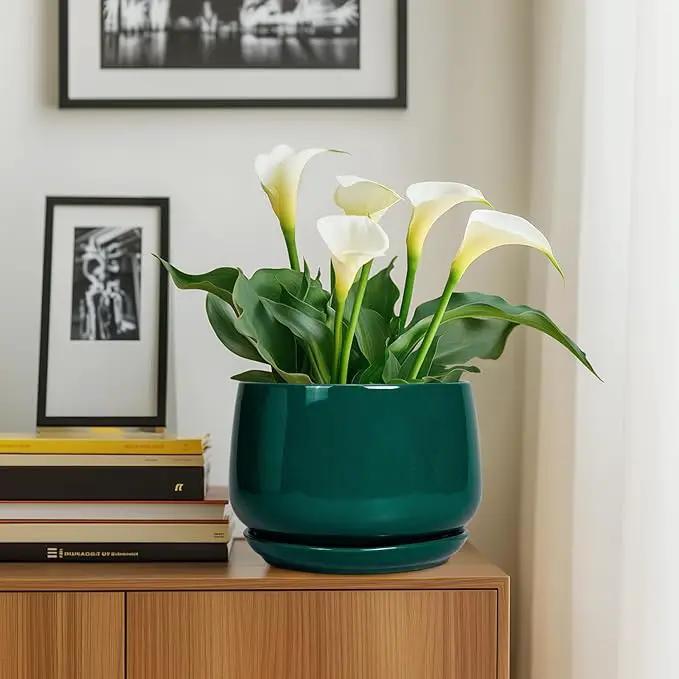 G EPGardening Ceramic Pots for Plants - 9 Inch Ceramic Planter for Indoor Plants, Round Planter with Drainage and Saucer, Modern Flower Pots for Outdoor, House Decor, Garden Gifts, Green by GreenHaven Gardens