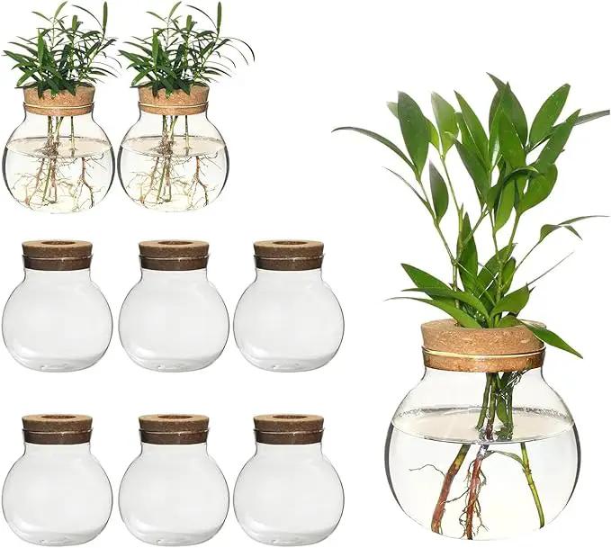 Plant Propagation Station,Hydroponic Terrarium Vase,Desktop Glass Planter Station,for Houses,Garden Decorations,ropagating Hydroponic Plants,Centerpiece Office,Home Garden Decor (9) by GreenHaven Gardens