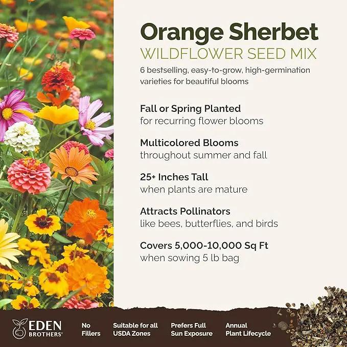 Eden Brothers Orange Sherbet Flower Mixed Seeds for Planting, 5 lb, 2,400,000+ Seeds with Cosmos Picotee, Bright Lights | Attracts Pollinators, Plant in Spring or Fall, Zones 3, 4, 5, 6, 7, 8, 9, 10 by GreenHaven Gardens