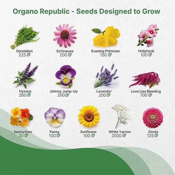Organo Republic 25 Edible Flower Seeds Variety Pack- Indoor/Outdoor. 8000+ Non-GMO Heirloom: Anise, Hyssop, Nasturtium, Pansy, Echinacea, Lavender, Chives Seeds & More by GreenHaven Gardens