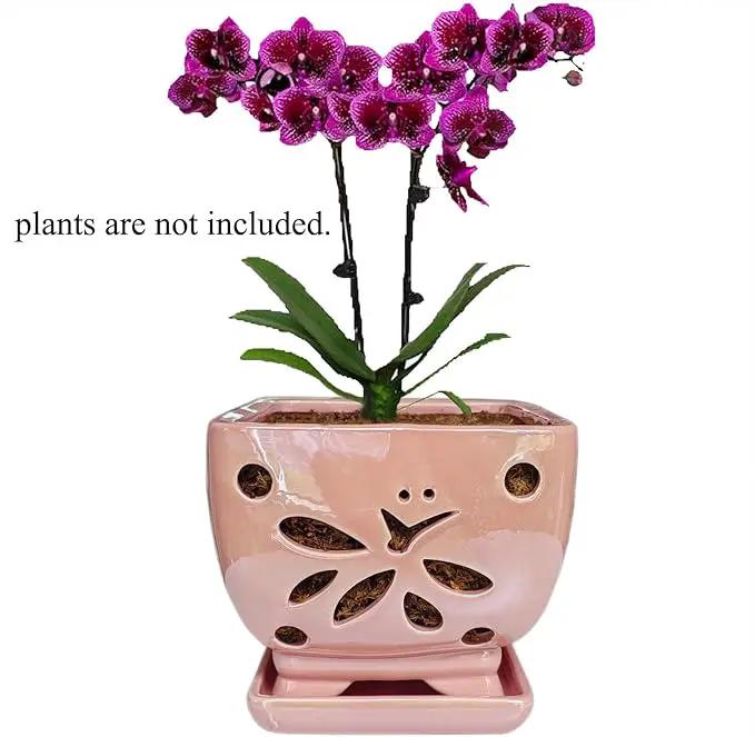 Orchid Pots with Holes Square Ceramic Orchid Planter Pots 5.5 inch (Pink) by GreenHaven Gardens