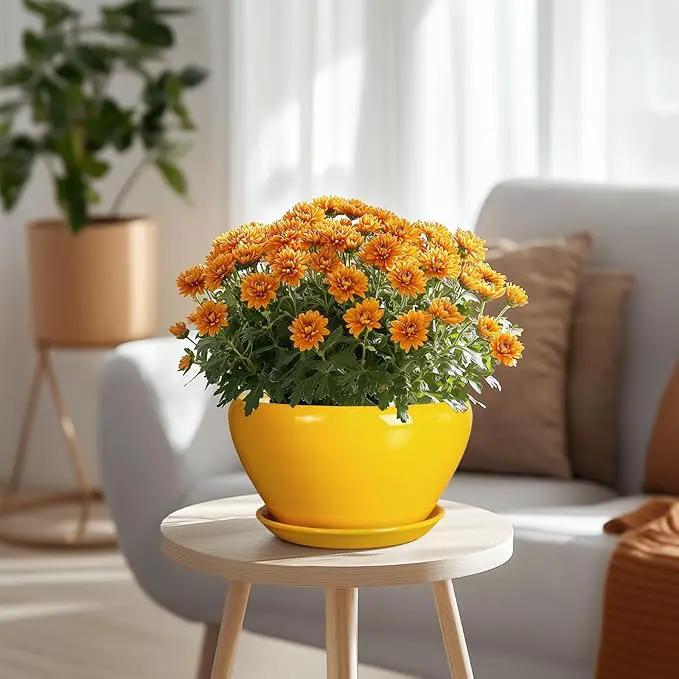 Ceramic Planter 9 Inch - Mid-Century Round Modern Plant Pot Indoor with Drainage Hole and Saucer for Outdoor Plants, Balcony House Garden Patio Home Decor, Yellow by GreenHaven Gardens
