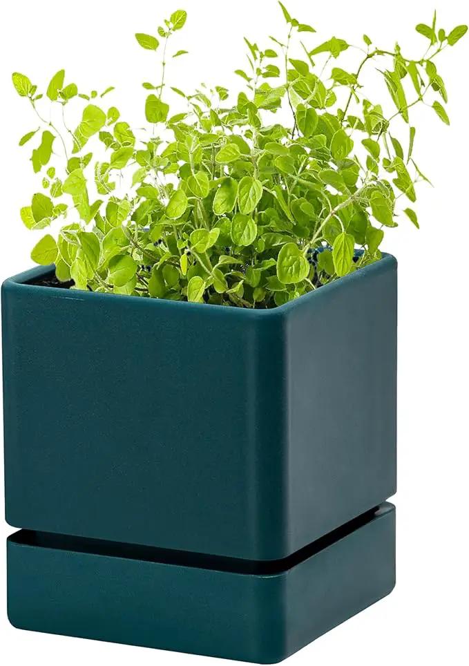 4 Inch Herb Planter Pot, Plastic Planter with Drainage Holes and Saucer, Modern Decorative Gardening Pot for Indoor Plants, Flowers, Herbs, Succulents, Green, Set of 1, 76-Y-C-1 by GreenHaven Gardens