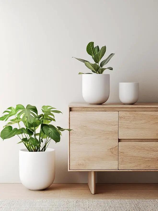 LE TAUCI 6+8+10 Inch Ceramic Pots for Plants, Plant Pots Indoor with Drainage Hole and Plug, Planter Pots for Home Office Room Patio, Set of 3, White by GreenHaven Gardens