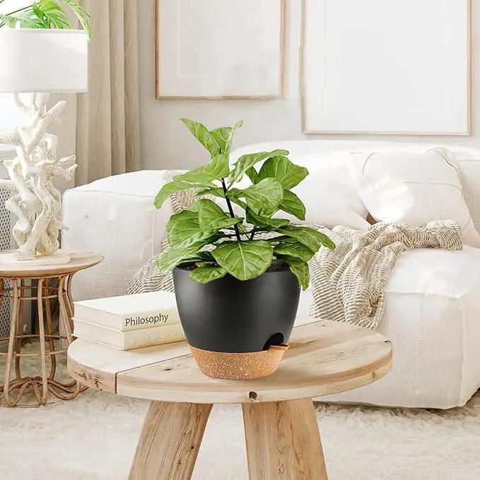 Indoor Pots For Plant Self Watering Plant Pots For Lazy People, 8/7.5/7/6.5/6/5.5/5 Inch,Black Plastic Self Watering Planter For All Houseplants,Succulent, African violets, Flowers And Cactus by GreenHaven Gardens