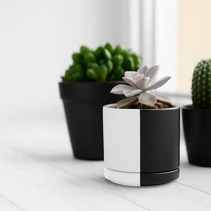 D'vine Dev 3.5 Inch Ceramic Planter Pot with Drainage Hole and Saucer, Indoor Cylinder Round Planter Pot, Split Monochrome Black & White, 94-O-A-0 by GreenHaven Gardens
