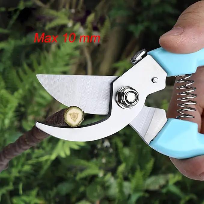 Curve Gardening Scissor with Sharp Stainless Steel Blade Garden Shears for Cutting Flowers Trimming Plants of Yard Florist Flower Rose Herb Hedge Bonsai and Fruits Picking (Pink Handle) by GreenHaven Gardens