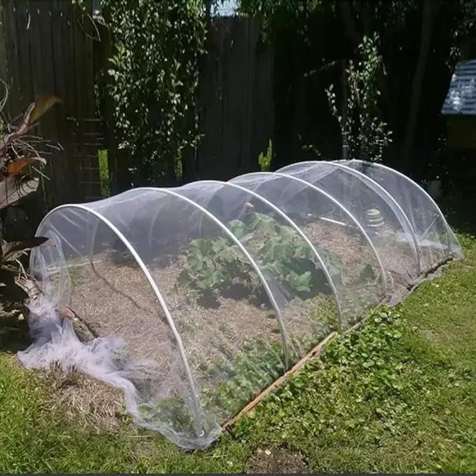 Agfabric Garden Netting 5'x100' Insect Pest Barrier Bird Netting for Garden Protection,Row Cover Mesh Netting for Vegetables Fruit Trees and Plants,White by GreenHaven Gardens