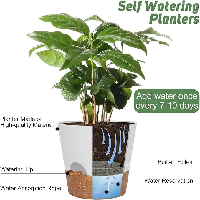 Ynnico10 inch Plant Pots, Self-Watering Planters with Drainage Holes & Saucers for Indoor and Outdoor Plants (2-Pack,White by GreenHaven Gardens