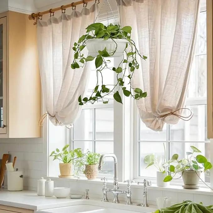 12.59in Hanging Planter Pots for Outdoor and Indoor Plants Flowers with Drainage Hole Tray Hooks Plastic Plant Baskets for Garden Home Porch (White, Pack of 6) by GreenHaven Gardens