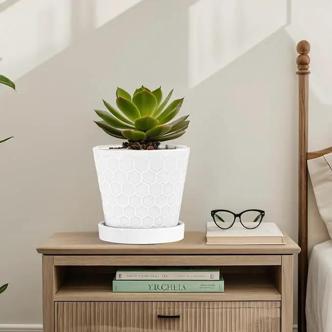BUYMAX Plant Pots Indoor –6 inch Ceramic Flower Pot with Drainage Hole and Ceramic Tray - Gardening Home Desktop Office Windowsill Decoration Gift, Set of 2(White) by GreenHaven Gardens