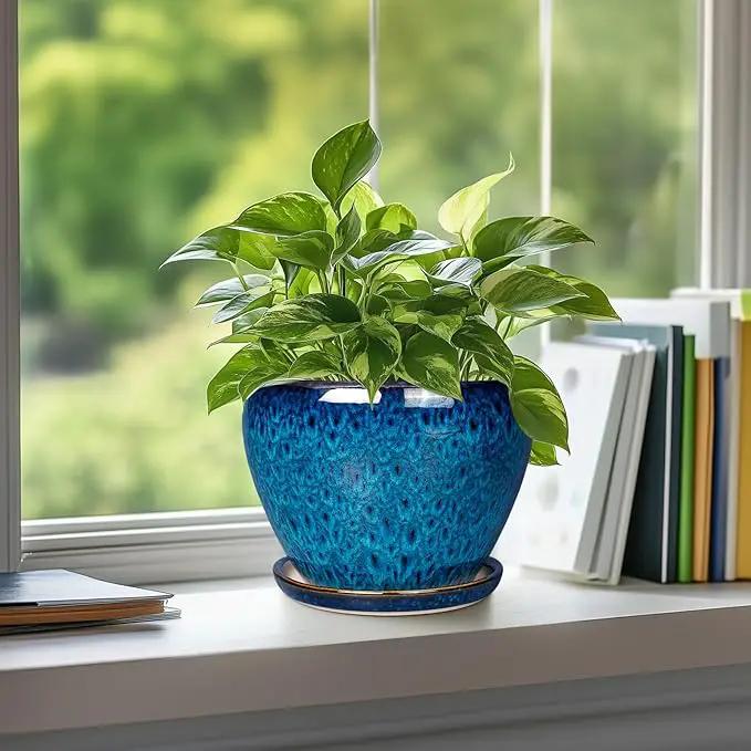 Ceramic Modern Glaze Succulent Planter Pot with Drainage Hole and Saucer 6 Inch Round Flower Plant Pot for Indoor Outdoor Herb Snake Plants by GreenHaven Gardens