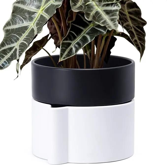 8 Inch Self-Watering Planter Pot with Terracotta Insert, Deep Water Reservoir, and Ceramic-Alike BPA-Free Plastic Planter Pot for Plant, Modern Planter for Houseplants, White/Black, 53-B-T-4 by GreenHaven Gardens