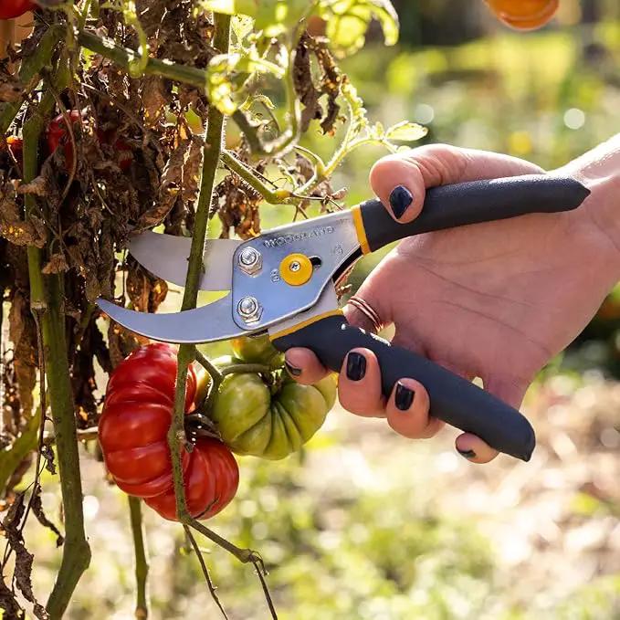 Woodland Tools Co. Bypass Pruning Shears for Gardening – 5/8" Cut Capacity, High Carbon Steel Blade with Non-Stick Coating, Soft Grip, Steel Handle, Hand Pruner for Plants, Flowers, and Shrubs by GreenHaven Gardens