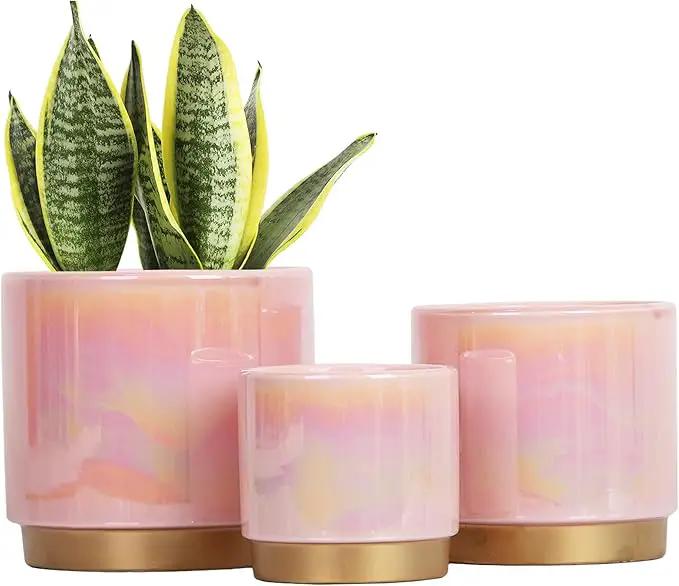 Gepege Pink Indoor Plant Pots for Plants, Ceramic Planter with Drainage Hole, 6.0 inch+5.0 Inch+4.0 Inch. Succulent Orchid Flower Pot - Rainbow Pearl Glaze by GreenHaven Gardens