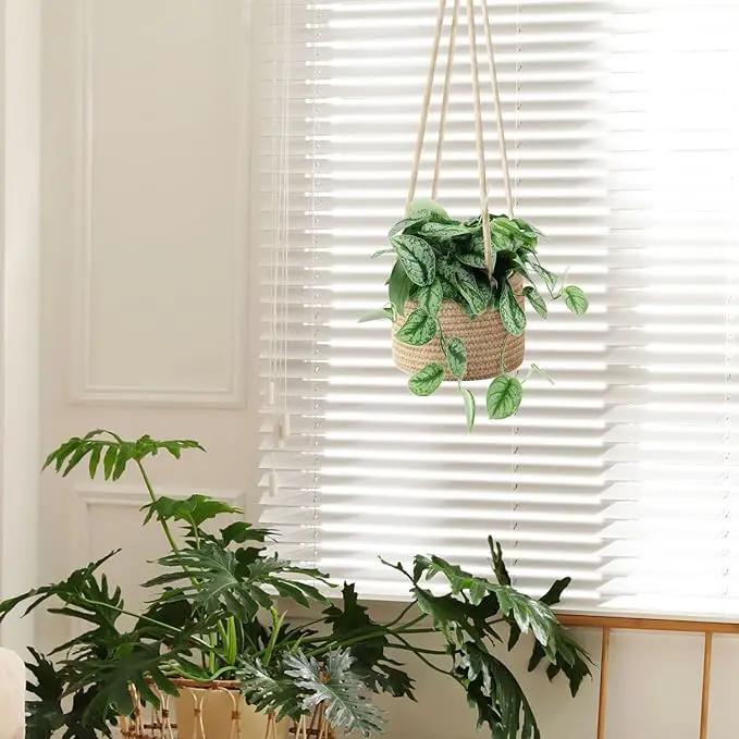 Flexzion Hanging Plant Basket, Boho Cotton Rope Basket Indoor Hanging Planter, Up to 7" Flower Pot, Macrame Woven Modern Plant Holder, Storage Bin Organizer, Home Decor with 20" Hanging Rope, Brown by GreenHaven Gardens