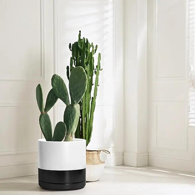 D'vine Dev 12 Inch Ceramic Planter Pot with Drainage Hole and Saucer, Indoor Cylinder Round Planter Pot, Layered Monochrome Black & White, 94-O-F-L by GreenHaven Gardens