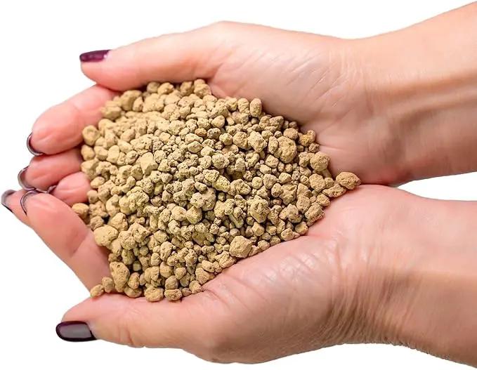 Japanese Hyuga Pumice - Premium Additive for Orchid & Bonsai Tree Soil |Professional Imported Sifted and Ready to Use (3 Quart Bag) by GreenHaven Gardens