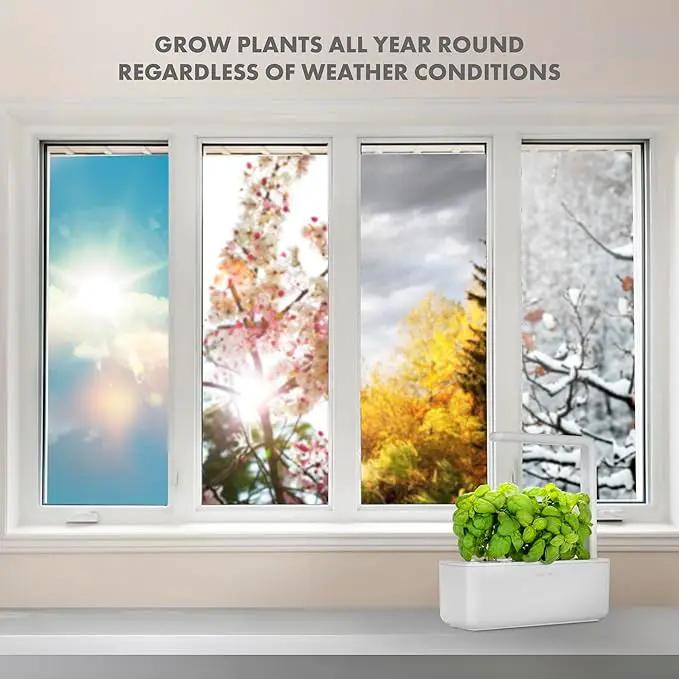 Click & Grow Indoor Herb Garden Kit with Grow Light | Smart Garden for Home Kitchen Windowsill | Easier Than Hydroponics Growing System | Vegetable Gardening Starter (3 Basil Pods Included), White by GreenHaven Gardens