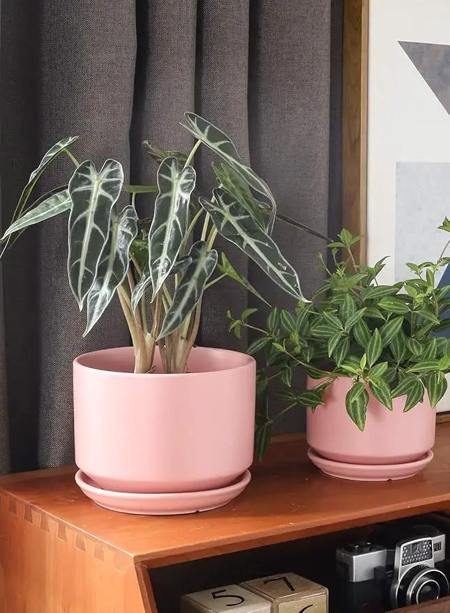 LE TAUCI Ceramic Plant Pots, 4.3+5.3+6.8 inch, Set of 3, Planters with Drainage Hole and Saucer, Indoor Flower Pot with Hole Mesh Pad, Gifts for Mom, Pink by GreenHaven Gardens
