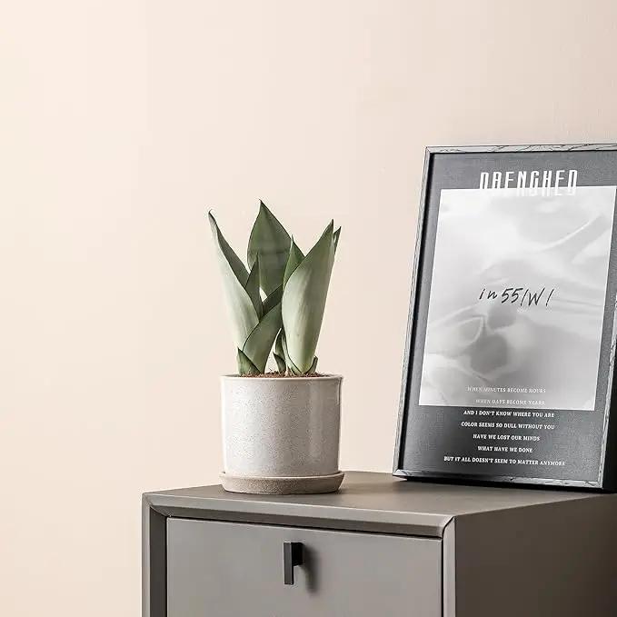5.8 Inch Plant Pot: Ceramic Planter with Drainage Hole & Saucer - Cylinder Round Flowerpot for Indoor & Outdoor Plants - with Separate Tray for Home & Office - Retro Style, Grey by GreenHaven Gardens