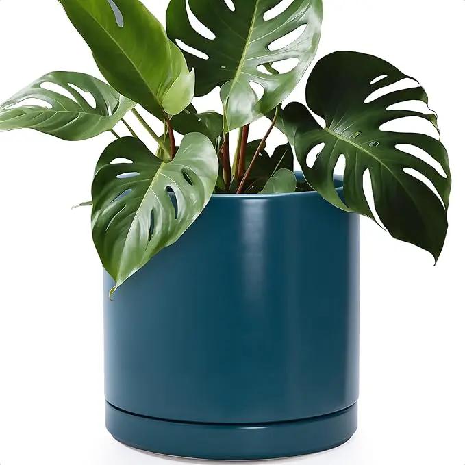 D'vine Dev 12 Inch Ceramic Planter Pot with Drainage Hole and Saucer, Indoor Cylinder Round Planter Pot, Teal, 94-O-F-9 by GreenHaven Gardens