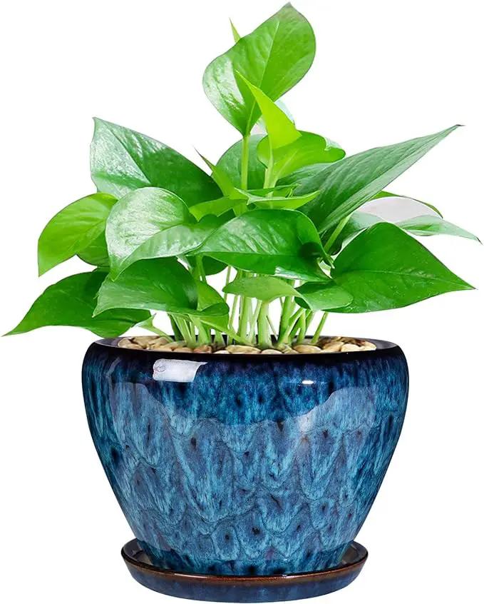 Ceramic Modern Glaze Succulent Planter Pot with Drainage Hole and Saucer 6 Inch Round Flower Plant Pot for Indoor Outdoor Herb Snake Plants by GreenHaven Gardens