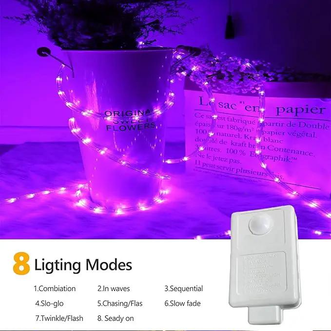 200ft LED Rope Lights Outdoor, 1440 LED Flexible Tube Lights with 8 Modes, Waterproof LED Rope Lighting for Outside, Garden, Patio, Bedroom, Party, Pool, Fences, Indoor Outdoor Decoration (Purple) by GreenHaven Gardens