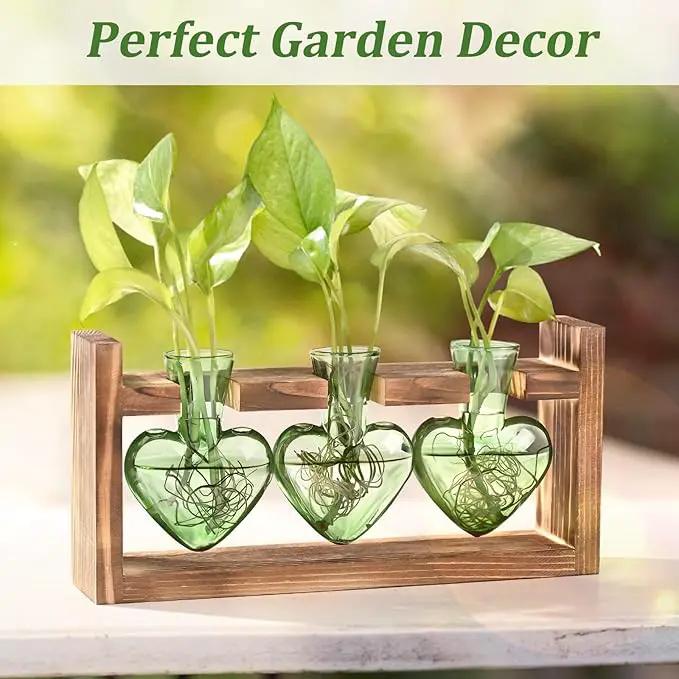 Lifecapido Heart Shaped Propagation Stations, Plant Terrarium with Wooden Stand, Plant Propagation Station for Hydroponics Office Garden Home Decor, Gifts for Women Plant Lover (3 Vases, Mint Green) by GreenHaven Gardens