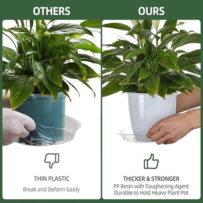 BORPEIN Plant Saucer (6,8,10inch, 18 Pack) Clear Plastic Plant Trays for Pots Indoors Outdoors,Thicker Flower Pot Saucers, Plant Plate to Catch Water by GreenHaven Gardens