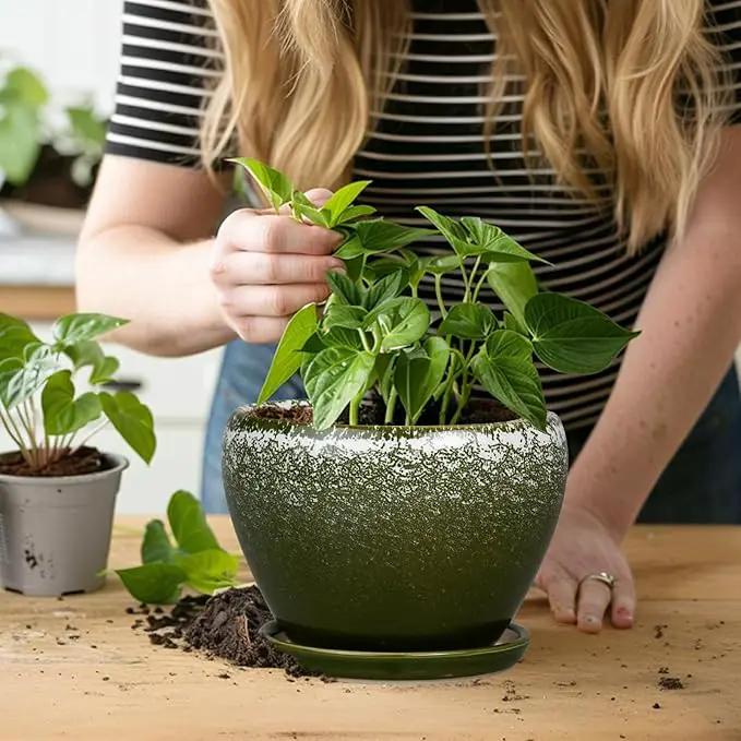 6 Inch Plant Pot - Ceramic Planter Pot with Drainage Hole and Saucer, Glaze Succulent Pot Modern Round Flower Pot for Indoor Plants, Dark Green by GreenHaven Gardens